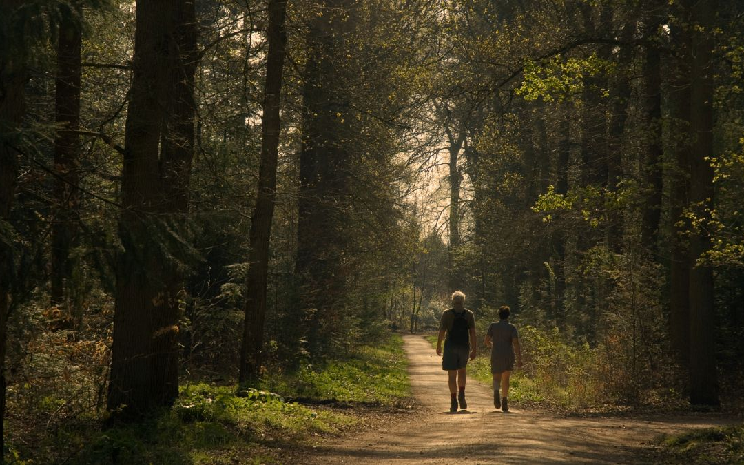 Is Life Coaching Your Key to Success? 5 Signs You Are Ready To Transform